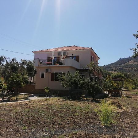 Vassilis Studios Anaxos Exteriör bild